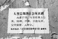 宿迁珠海伴游雇用网(珠海游览社雇用信息)