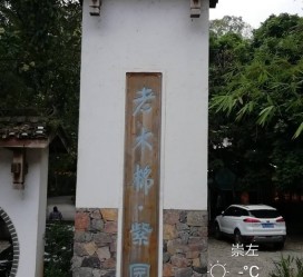 宿迁关于伴游中国伴游你们伴得是什么游的信息