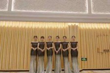 宿迁杭州模特礼节兼职群(杭州兼职商务模特经纪人微信)