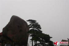 宿迁上海伴游私家陪游雇用女模(上海伴游私家陪游雇用女模特)