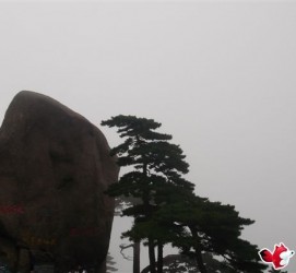 宿迁上海伴游私家陪游雇用女模(上海伴游私家陪游雇用女模特)