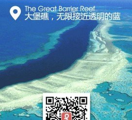 宿迁中国250家旅行社结伴游新西兰(新西兰当地旅行社)