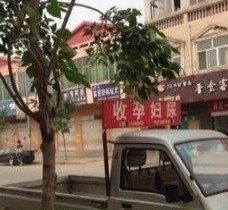 宿迁上海伴游 用伴游造句大全(5