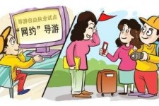 宿迁伴游是什么