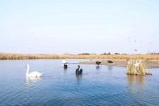 宿迁南昌附近伴游小妹兼职(1534939978姐的微信德惠市)