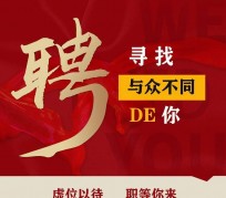 宿迁商务伴游招聘 重庆星级酒店诚招司机服务员夜场保安