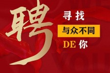 宿迁商务伴游招聘 重庆星级酒店诚招司机服务员夜场保安