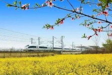 宿迁高铁游(高铁游戏下载手机版)