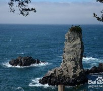 宿迁旅游全攻略(上海旅游全攻略)