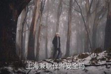 宿迁上海私人伴游 上海伴游，上海兼职伴游安全吗