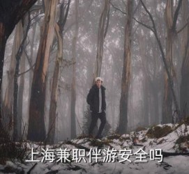 宿迁上海私人伴游 上海伴游，上海兼职伴游安全吗