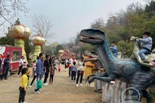 宿迁中国伴游带你打卡网红南山竹海(南山竹海网上预约)
