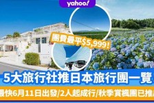 宿迁旅游价格(旅游价格机制)