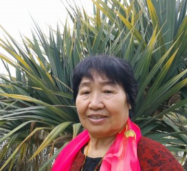 宿迁白叟带老伴游半个中国(白叟外出旅游)
