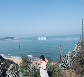 宿迁厦门周边游(厦门及周边旅游攻略)