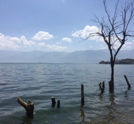 宿迁洱海旅游攻略(洱海旅游攻略自由行)