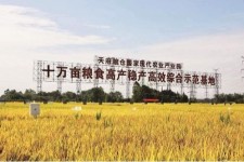 宿迁关于成都商务伴游外围雇用的信息