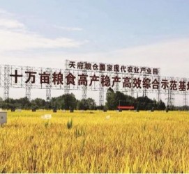 宿迁关于成都商务伴游外围雇用的信息