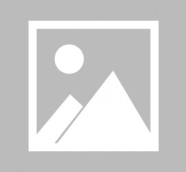 宿迁关于商务伴游雇用专业商务模特平台的信息