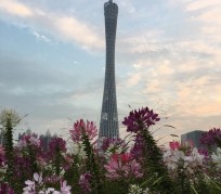 宿迁广州旅游攻略(杭州到广州旅游攻略)