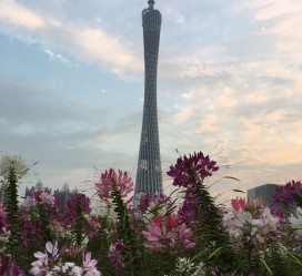 宿迁广州旅游攻略(杭州到广州旅游攻略)