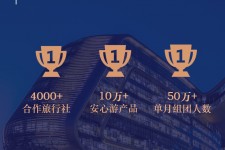 宿迁上海私人伴游 ​ “小而美”的新时代：2020年国内新跟团消费报告