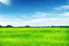宿迁上海伴游 上海模特伴游微信号的交友宣言