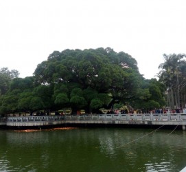 宿迁福州旅游攻略(福州旅游攻略二日游)
