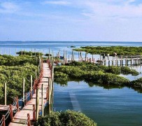 宿迁旅游哪里好玩(云南旅游哪里好玩)