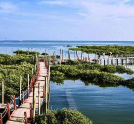 宿迁旅游哪里好玩(云南旅游哪里好玩)
