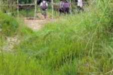 宿迁苍溪学生做伴游兼职(苍溪学生做伴游兼职怎么样)