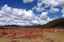 宿迁旅游去处(暑期最好的旅游去处)